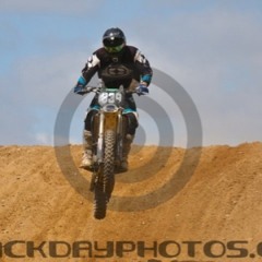 webby339