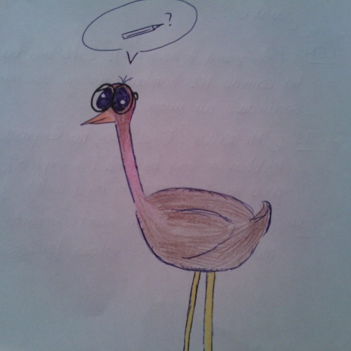 Funky Ostrich’s avatar