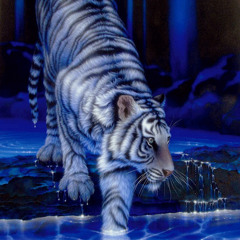 The Mighty Boosh! <3