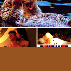 Demetrius Wastelander