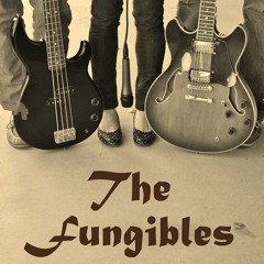 The Fungibles