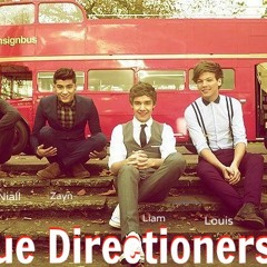 TrueDirectioner