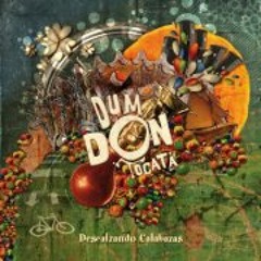 Dum Don Tocata