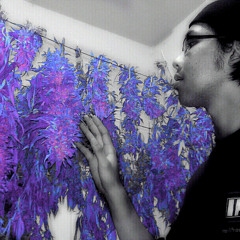 Vanky DatBOi (EndoBeatz)