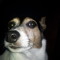 misterbond4u