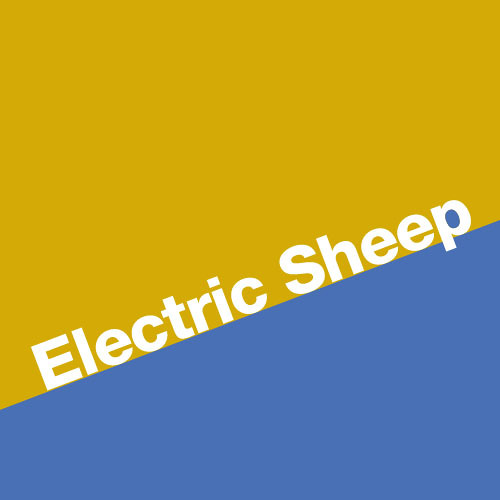 Electric-Sheep’s avatar