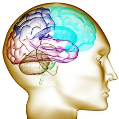 Crippled Brain