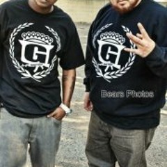 Bears Photos-Designs