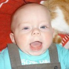 Mirishikiarichikikato