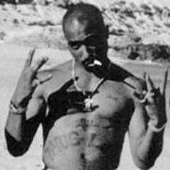 Shiine Over-Die