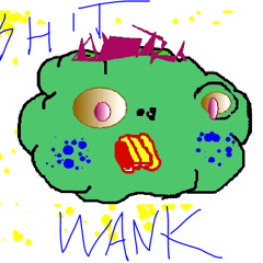 shitwankrecords
