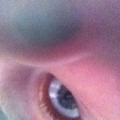 4 Four scores and 20 jays ago