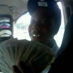 Vantavian Duke Dolphin