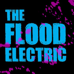 The Flood Electric