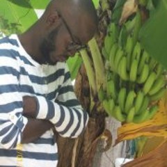 Krown Henoch Fyah Byah