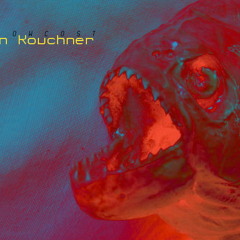 low cost kevin kouchner