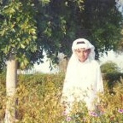 Mokhtar Al-Obidan