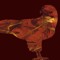 Amberhawk