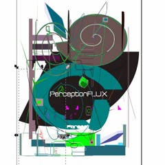 perceptionFLUX