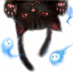 Darkfox1