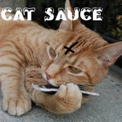 Cat Sauce!