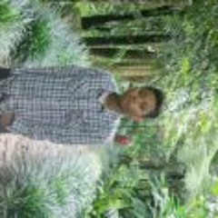 Rendii Satrio Pratama