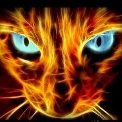 Oliver FireCat Oertel