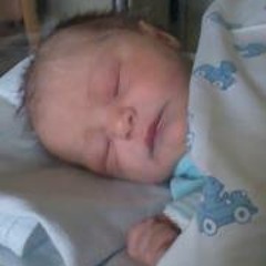 Tom Van Handenhove 1