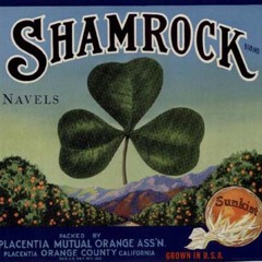 Stompin fuggn Mayhem @ 145 BPM