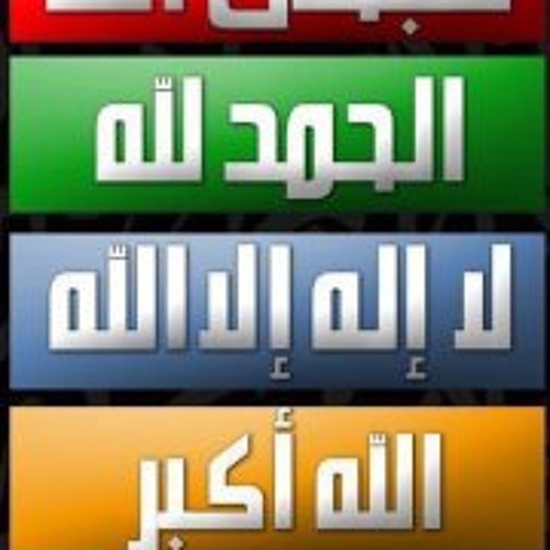 Nasr ElSharkawy’s avatar