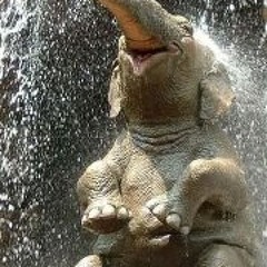 Asbjørn Kruttrøyk Arnesen