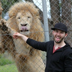 Katy Perry Circle The Drain-Solo