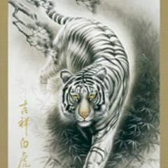 WhiteTiger13