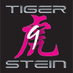 Tiger9stein