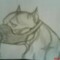 DOGMAN
