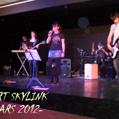 Skylink
