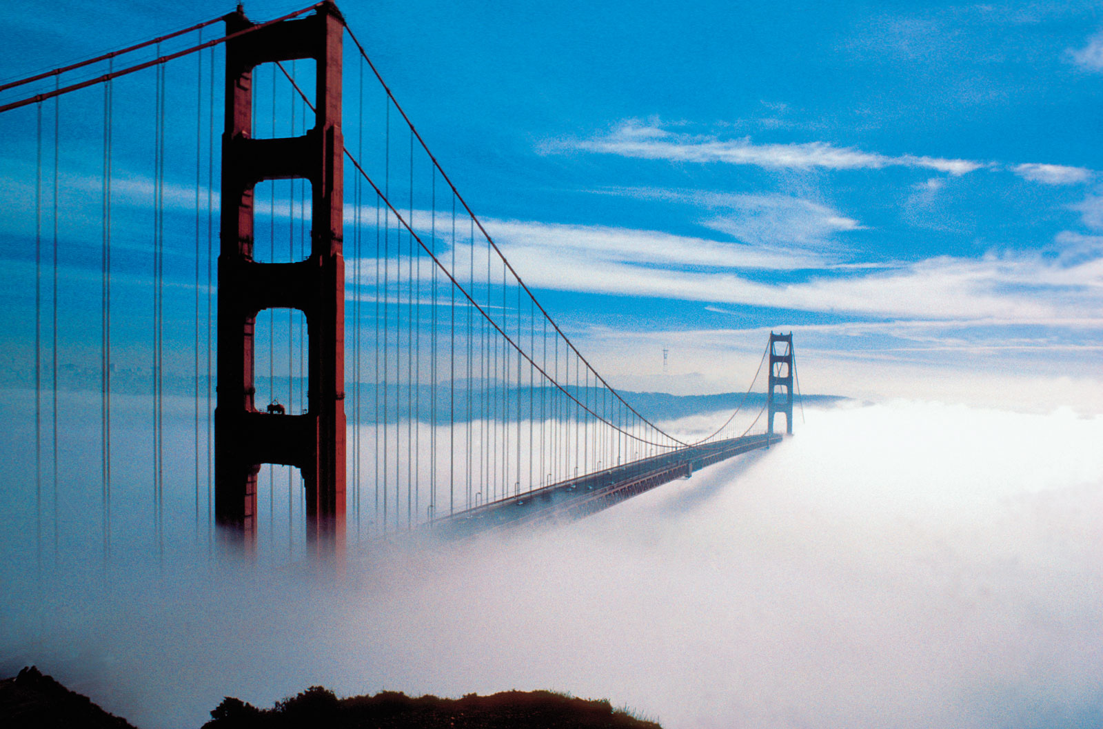 icanseebetterthroughfog