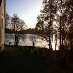 alexanderwallencello