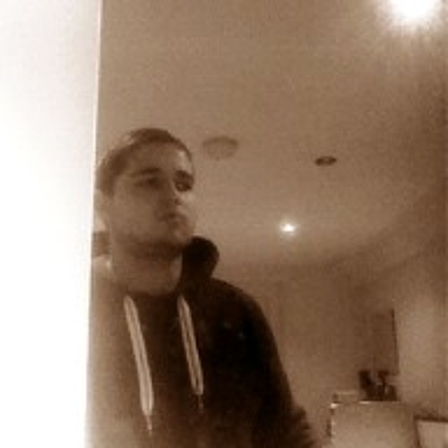 Damu the Fudgemunk - Pulse