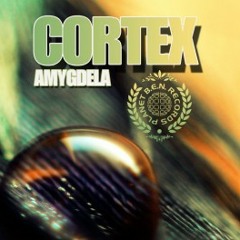 cortex-amygdela-ep