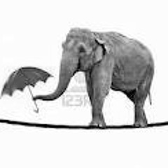 I Don't Know Anybody Else (playing with black box)