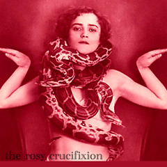 the rosy crucifixion