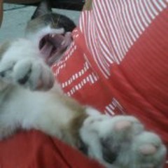 Lic Leonardo Santiago