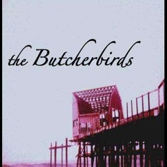 the Butcherbirds
