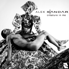 Splendid Sounds Records