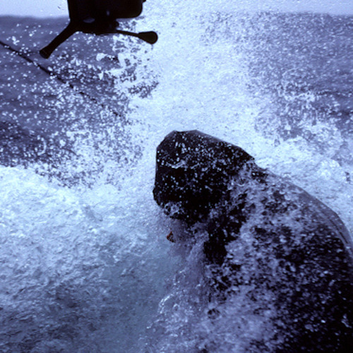 Stream ADF&G Sitka, Alaska Herring Countdown (on the air) Saturday ...