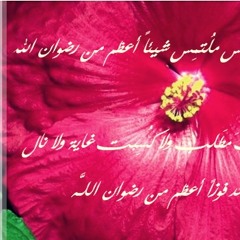 إدريس أبكر - سورة يوسف3 -3 رمضان 1433هـ