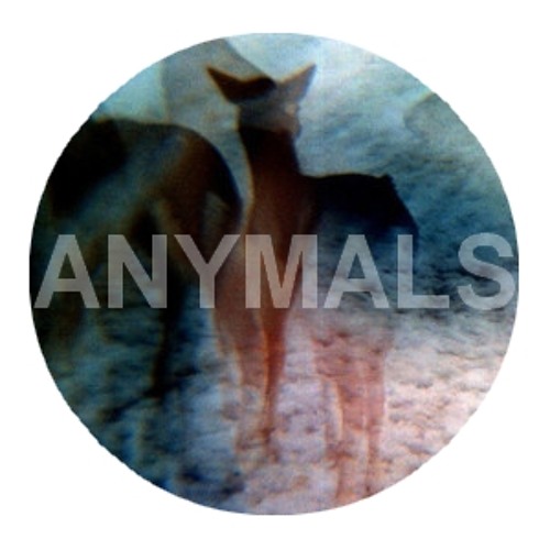 Anymals’s avatar