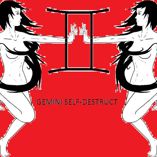 gemini self-destruct’s avatar