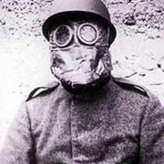 Jardin Zombies Indie Rock